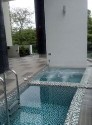 Lucida (D11), Apartment #466957061